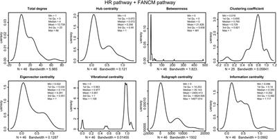 Dynamic Modelling of DNA Repair Pathway at the Molecular Level: A New Perspective